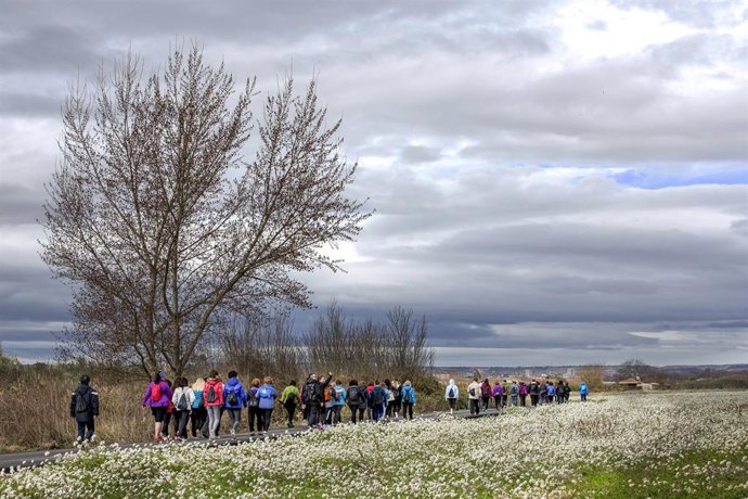 Archivo - Imagen de archivo de un anterior recorrido por las 'Huertas de Varea' dentro de los 'Paseos Saludables'.