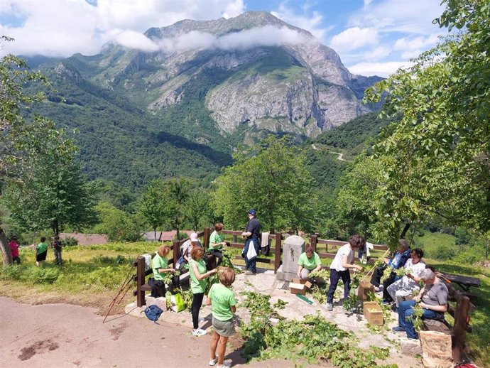 Participantes en el programa Voluntariado Ambiental de la Junta