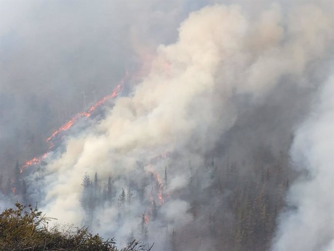 Incendio forestal en Cantabria