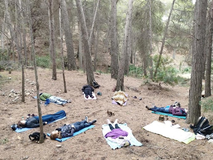 Meditación en pleno bosque.