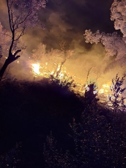 Incendio declarado en Alconàsser (Sóller, Mallorca)  pasada la media noche de este domingo