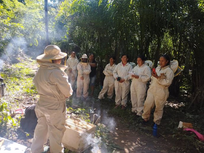 Labores con colmenas por las mujeres indígenas chiquitanas en el Área Natural de Manejo Integrado de San Matías, la segunda área natural protegida más grande de Bolivia.