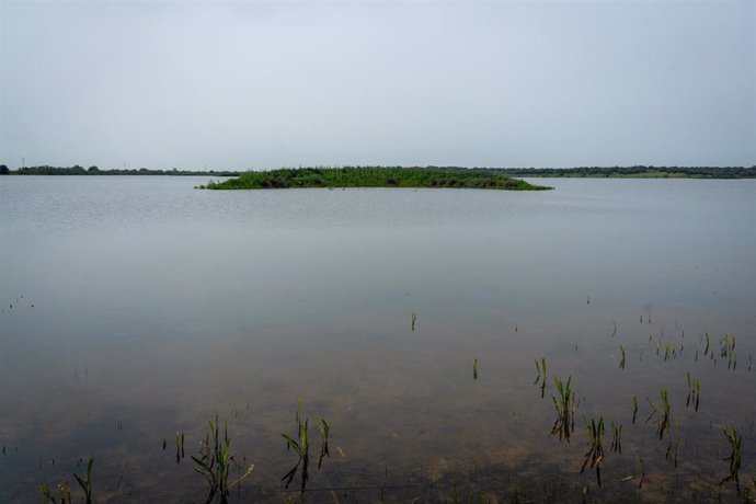 Charca de la Dehesa de Abajo en el espacio Natural de Doñana. Archivo.