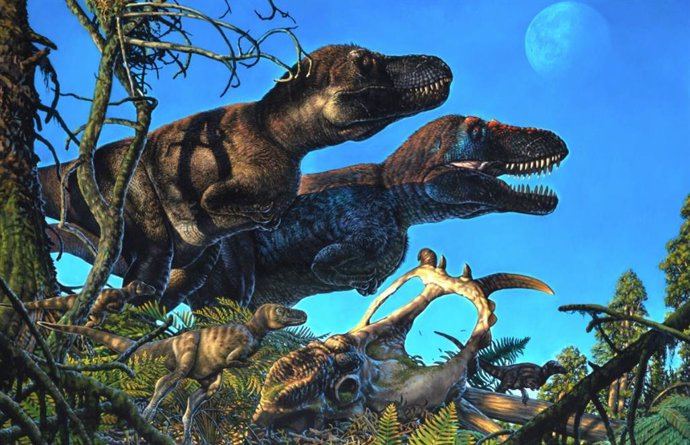 Nanuqsaurus, al fondo, y pachyrhinosaurus, con el cráneo en primer plano, se encuentran entre las especies de dinosaurios incluidas en un nuevo estudio.