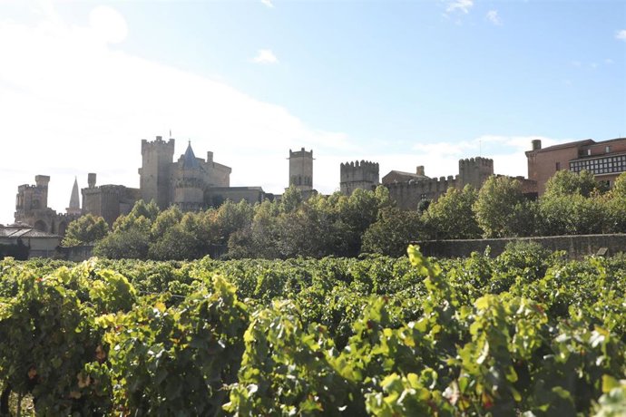 Archivo - Castillo de Olite.