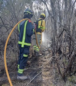 Archivo - Efectivos de bomberos y Brifor sofocan la reactivación del incendio en Tenerife