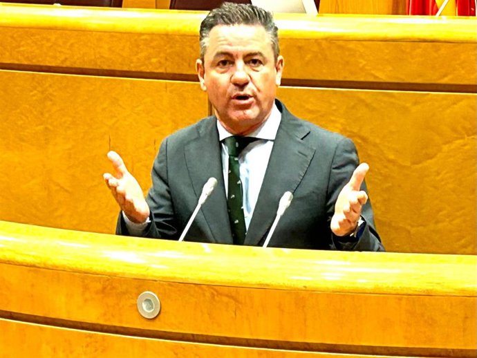 El senador del PP en el Senado Miquel Jerez.