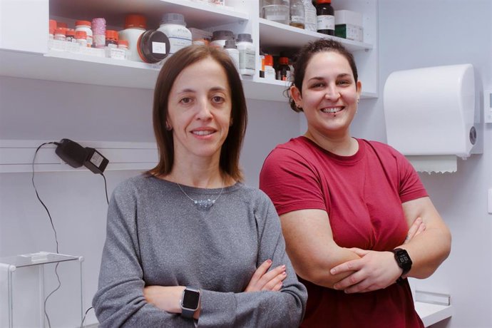 El IIS La Fe participa en un proyecto europeo que estudia cómo reducir el impacto de los disruptores endocrinos en el embarazo y la prepubertad