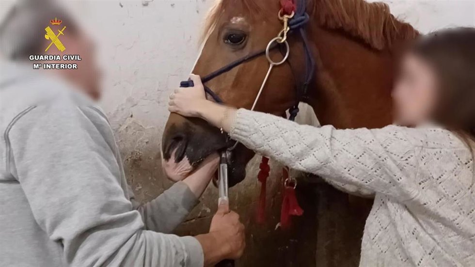 El Seprona investiga a un vecino de La Rioja por intrusismo profesional en veterinaria