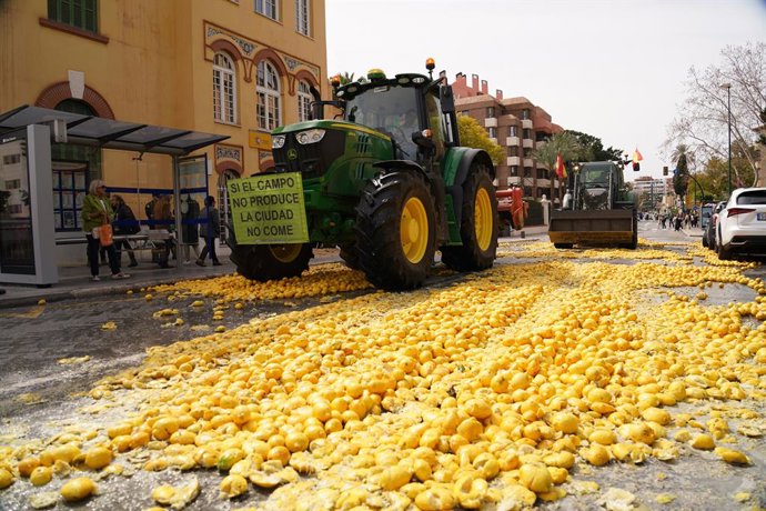Agricultores arrojan limones en la puerta de la Subdelegación del Gobierno de Málaga, a 13 de marzo de 2024, en Málaga, Andalucía (España). Agricultores de toda la provincia se manifiestan en las puertas de la  Subdelegación del Gobierno en Málaga.