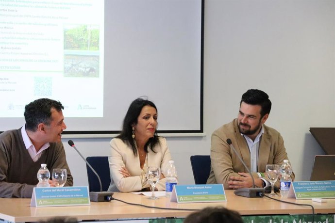 Marta Bosquet en la jornada de presentación del proyecto Ecovid en Jerez.