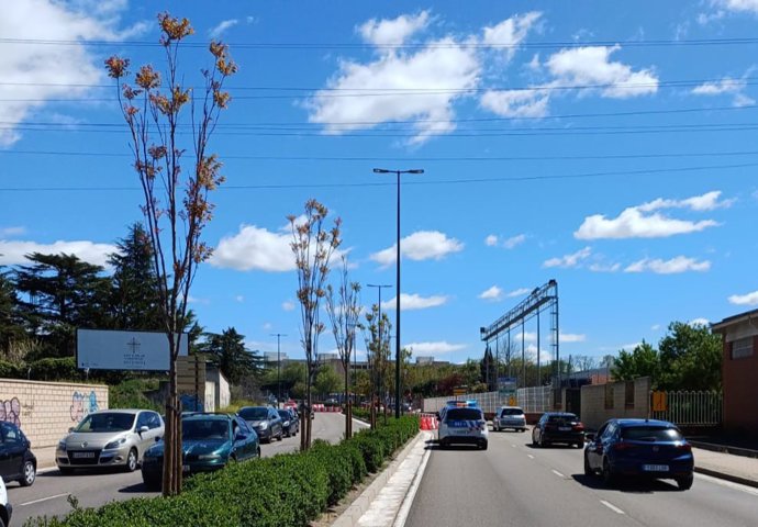 Cortes en la Avenida de Zamora con Arca Real en Valladolid