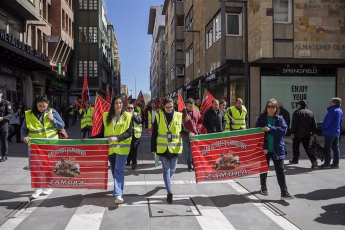 Marcha del sector del campo por las calles de Zamora.
