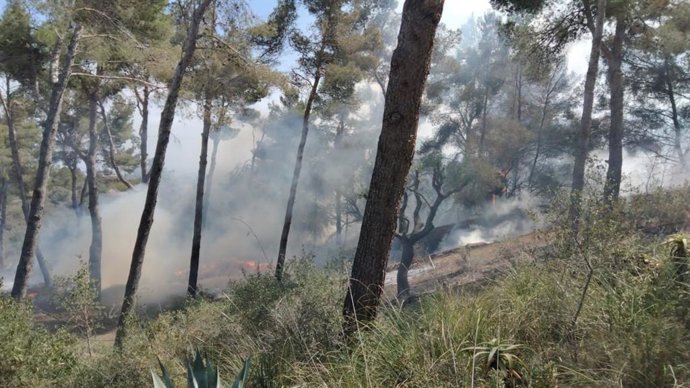 Incendio declarado en Ses Murtetes.