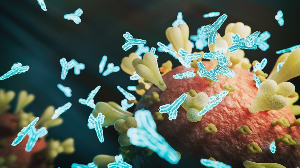 Descubierta la clave inmune para las infecciones virales crónicas