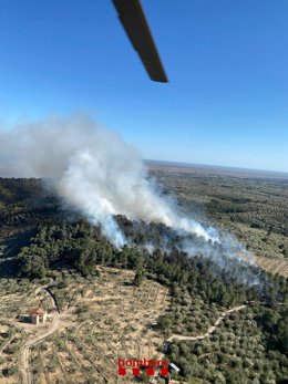 Imatge de l'incendi al Perelló (Tarragona)