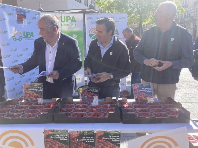 Aurelio González (i), Cristóbal Cano y Manuel Piedra reparten fresas en Valladolid.
