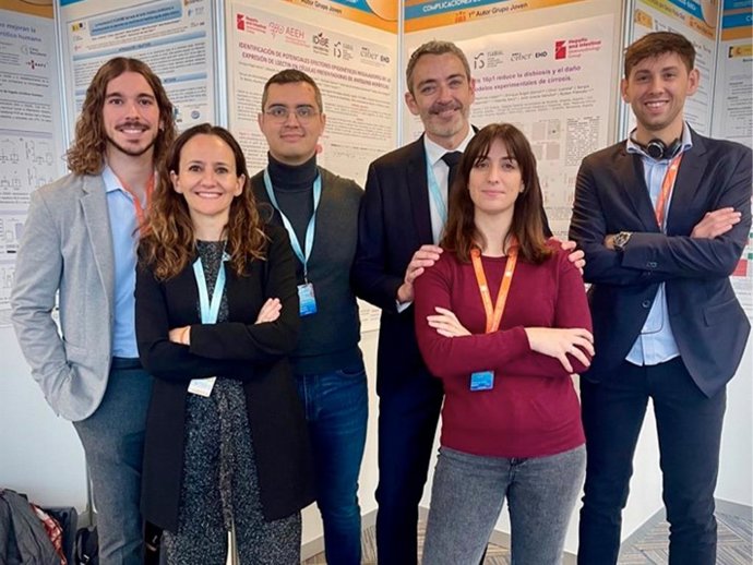 Archivo - Un estudio liderado por la UMH avanza en la comprensión de la respuesta inmunológica del hígado en la cirrosis