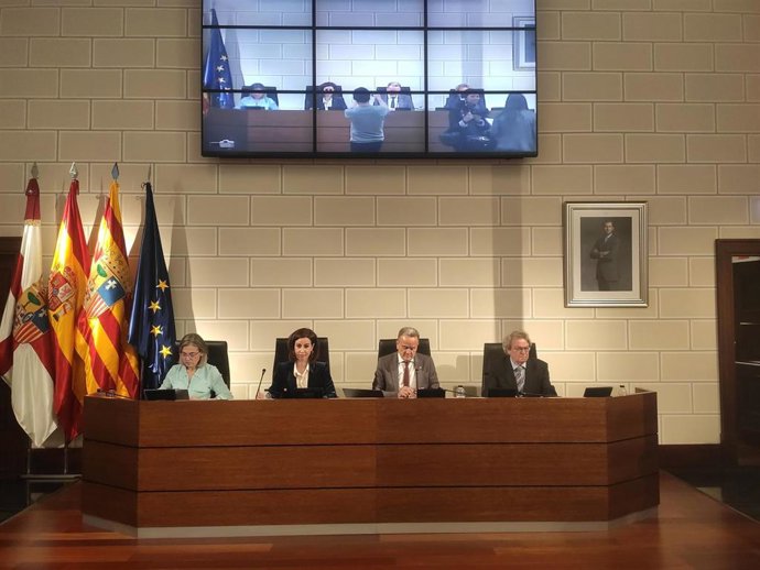 Pleno de la Diputación Provincial de Zaragoza (DPZ).