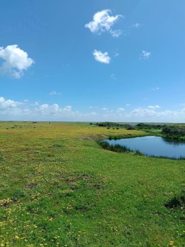 Imagen de Doñana tras las lluvias de Semana Santa.