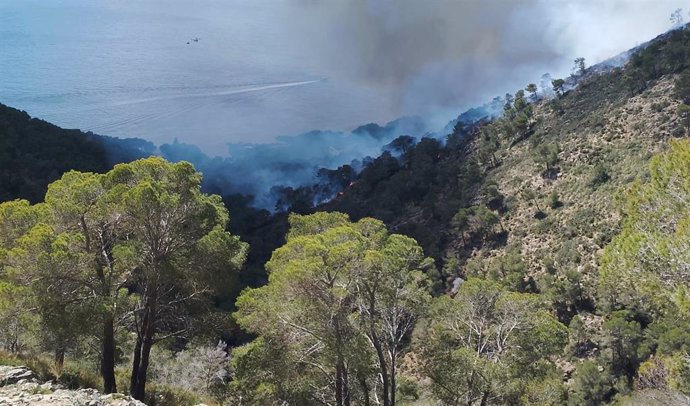 Desalojan varias viviendas por un incendio forestal en costa dels Pins (Mallorca).