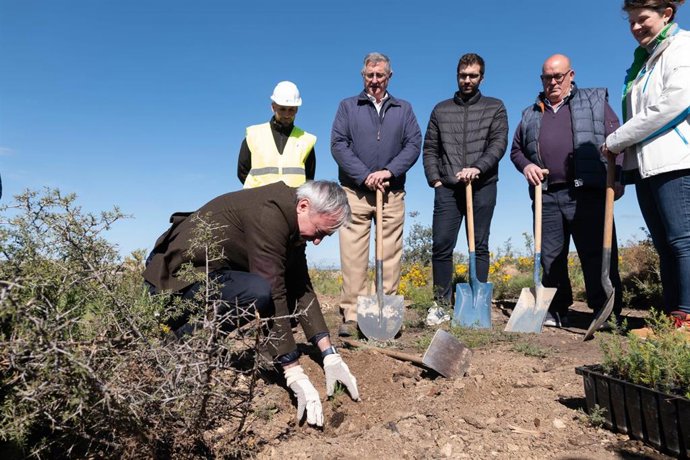 El presidente del Gobierno de Aragón, Jorge Azcón, planta un árbol durante su visita a Perdiguera (Zaragoza), donde hubo un gran incendio forestal en 2019.