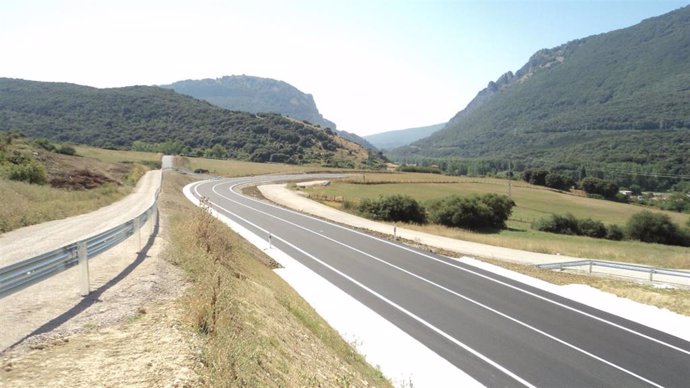 Carretera en la zona de Izurdiaga.