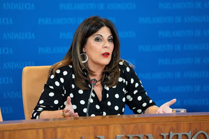 La portavoz del Grupo Parlamentario Socialista, Ángeles Férriz, durante la ronda de ruedas de prensa de portavoces de los grupos parlamentarios en el Parlamento de Andalucía, a 10 de abril de 2024 en Sevilla (Andalucía, España). Los portavoces de los gr