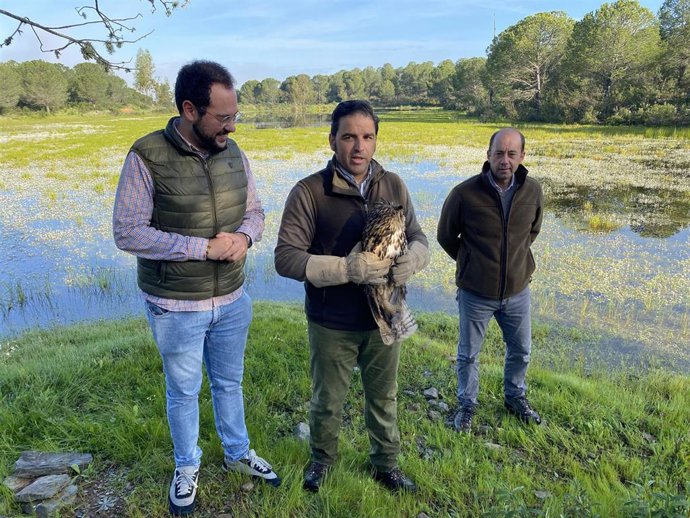 El delegado de Sostenibilidad, Medio Ambiente y Economía Azul de la Junta en Huelva, Pedro Yórquez, ha soltado un búho real en Beas.