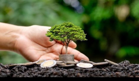 Comunicados Empresas