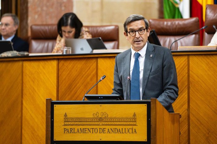 El consejero de Industria, Energía y Minas, Jorge Paradela, comparece en el Pleno del Parlamento andaluz.