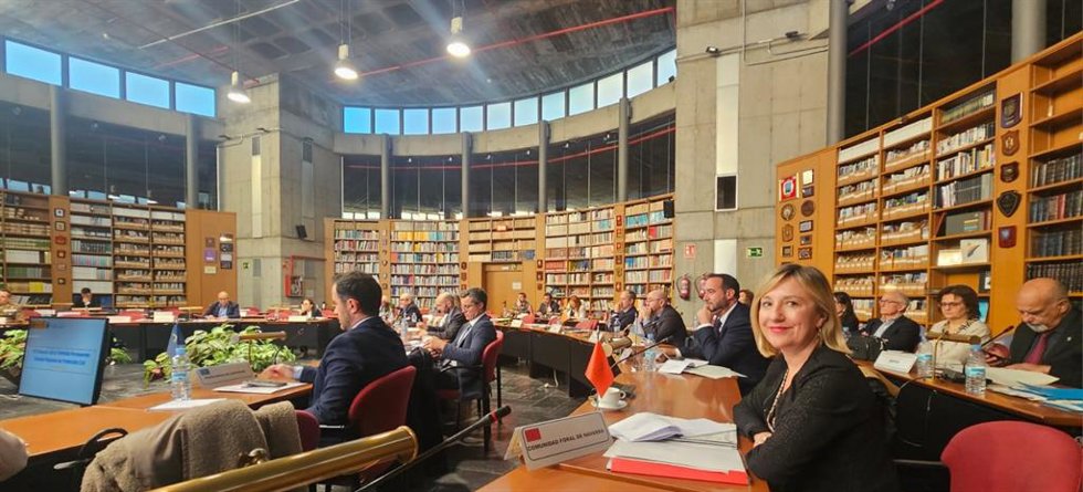 La consejera López en la sesión de la Comisión Nacional