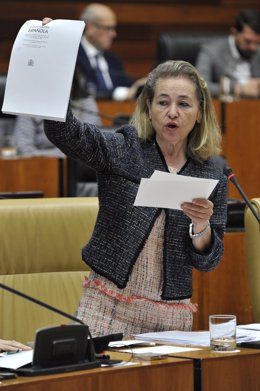 La consejera de Educación, Mercedes Vaquera, en el pleno de la Asamblea