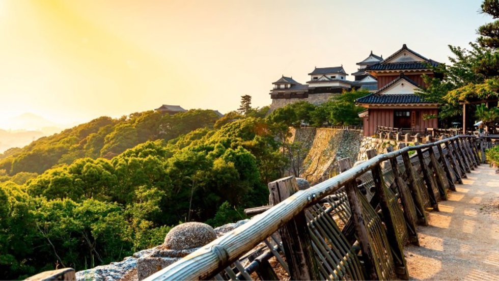 Japón.