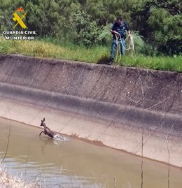 La Guardia Civil rescata un corzo en una canal de riego