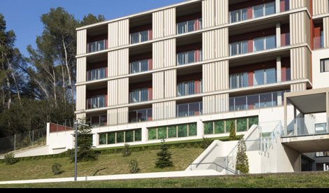 Comunicados Sociedad