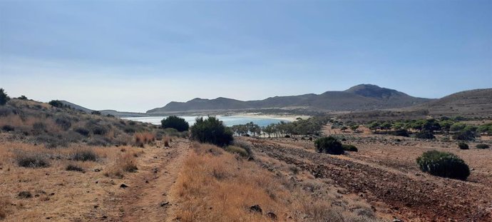 Archivo - Playa de Genoveses, en Cabo de Gata (Almería)
