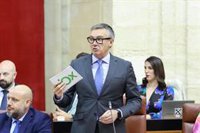 Vox critica la "incapacidad" de Moreno para hacer una gestión distinta al PSOE-A: "Andalucía merece otro presidente"