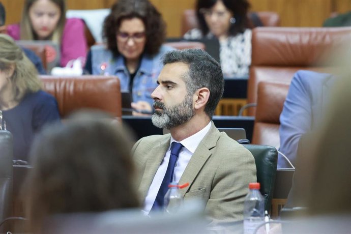 El consejero de Sostenibilidad, Medio Ambiente y Economía Azul, Ramón Fernández-Pacheco, en el Pleno del Parlamento andaluz