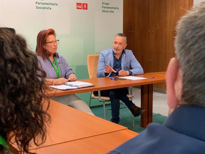 El número dos del PSOE sevillano se reúne en el Parlamento con el equipo de gobierno de La Algaba y representantes de la comunidad educativa de este municipio.