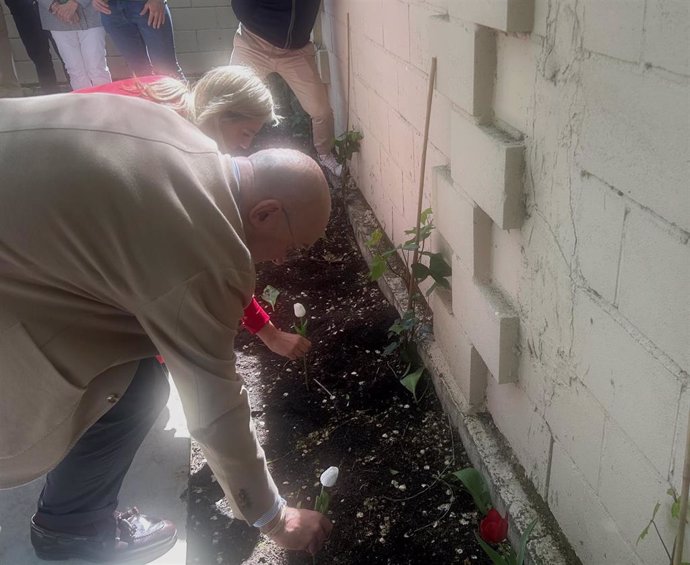 El alcalde de Valladolid, Jesús Julio Carnero, y la teniente de alcalde Irene Carvajal, plantan un tulipán en el patio de la Asociación de Parkinson de Valladolid.
