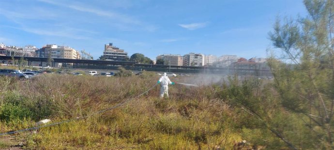 Trabajos de tratamiento de control de mosquitos en Huelva.