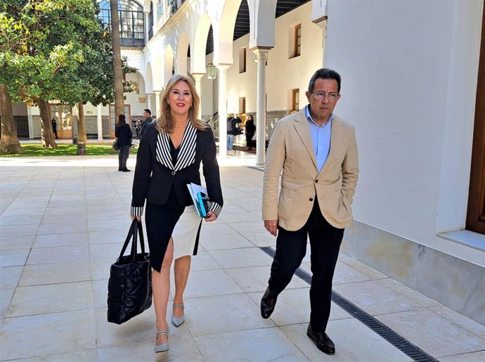 La consejera de Economía, Carolina España, en el pleno del Parlamento del 11 de abril de 2024.