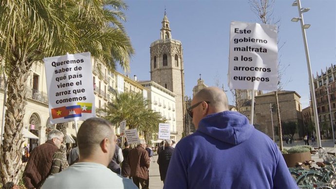 Arroceros valencianos exigen un correcto etiquetado del origen del arroz para evitar "engañar" al consumidor