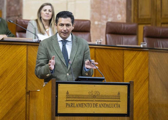 El diputado del PSOE-A Rafael Márquez interviene en el Pleno del Parlamento andaluz.