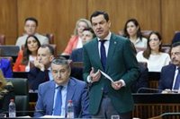 La Junta acusa al PSOE de querer "embarrar la política" citando a Moreno en la comisión de mascarillas del Congreso