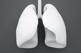 Foto: Una técnica permite aumentar el número de pacientes que reciben trasplantes de pulmón