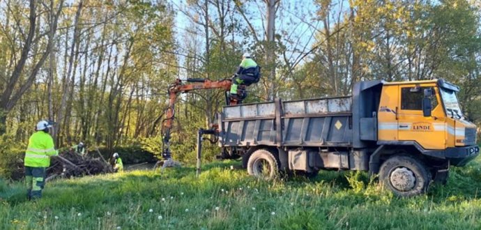 La CHC desarrolla trabajos de mantenimiento, conservación y mejora en el río Cubia en La Mata (Grado)