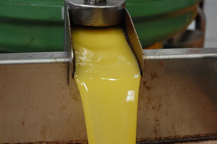 Archivo - Aceite