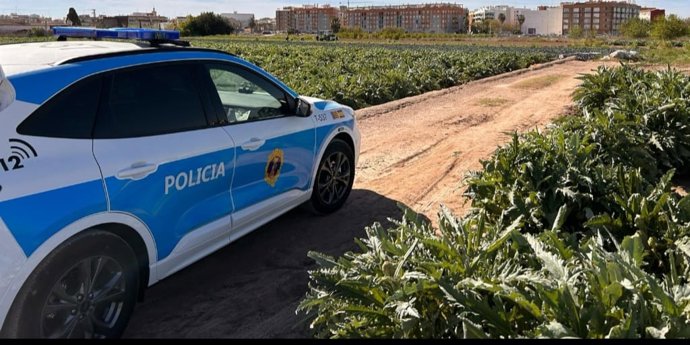 La Policía de la Generalitat controla 530.430 kilos de productos agrícolas dentro de la 'Operación Horta' para frenar la venta ilegal y los robos en el campo